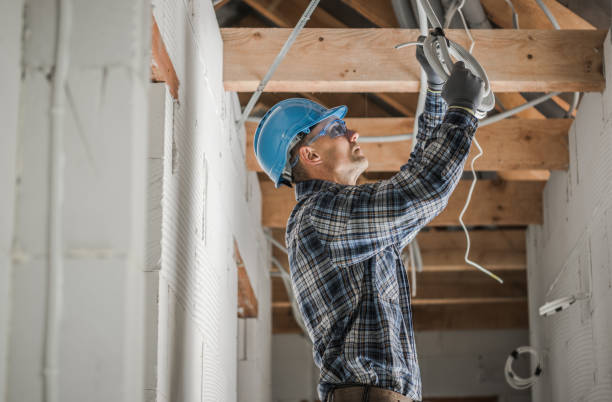 Best Electrical Repair Services  in Saranac, MI