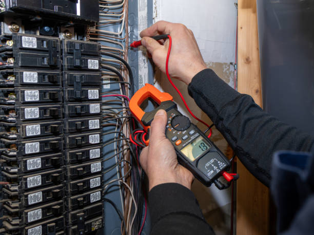 Best Local Electrician Companies  in Saranac, MI